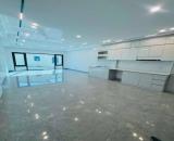 NHÀ MỚI TINH - THANG MÁY - GARA OTO - MẶT ĐƯỜNG 4.5m - KHU VIP NGỌC THUỴ - FULL NỘI THẤT N