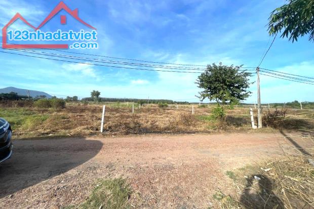 CHÍNH CHỦ CẦN TIỀN BÁN NHANH NỮA GIÁ 3 SÀO ĐẤT NGAY CHỢ MINH LẬP 190 TRIỆU - 1
