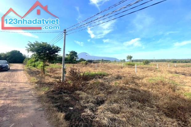 CHÍNH CHỦ CẦN TIỀN BÁN NHANH NỮA GIÁ 3 SÀO ĐẤT NGAY CHỢ MINH LẬP 190 TRIỆU - 2