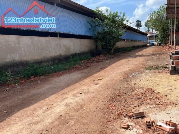 Bán nhà xưởng 19.300m2 Vĩnh Cửu Đồng Nai giá rẻ chỉ 36 tỷ - 5
