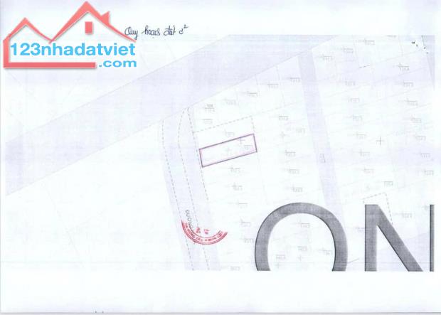 CẦN BÁN GẤP LÔ ĐẤT BIỂN LỘC AN 131M2 MÀ GIÁ CHỈ TỪ 860 TRIỆU - 2