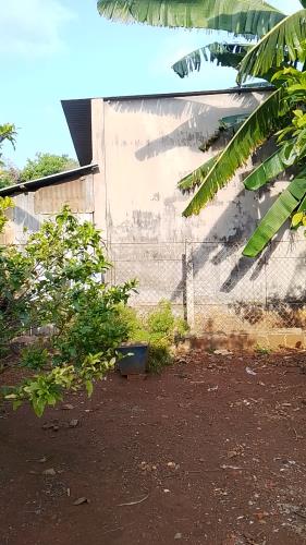 Cần bán lổ lô đất gần biển phước hải, long hải, hồ tràm, lộc an với 8.6m mặt tiền cực đẹp. - 3