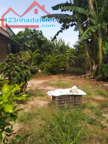 Cần bán lổ lô đất gần biển phước hải, long hải, hồ tràm, lộc an với 8.6m mặt tiền cực đẹp. - 5