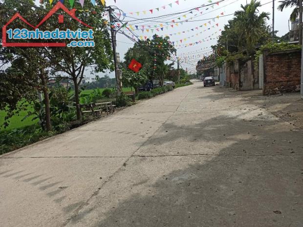 100m2 full đất ở tại thanh bình chương mỹ hà nội - 2