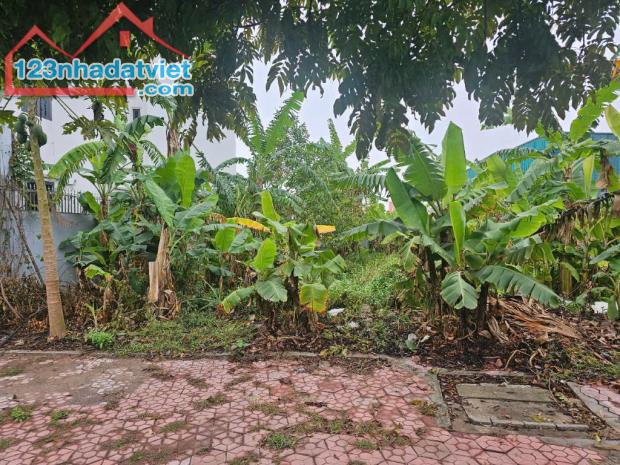 Lô đất khu đô thị Phía Tây, P. Thanh Bình, TP Hải Dương. - 2