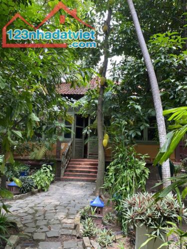 KHU SINH THÁI 4130M²(NGANG 17M), 3 BIỆT THỰ PHÁP, 1000 MÓN ĐỒ CỔ, TP. DĨ AN - 3