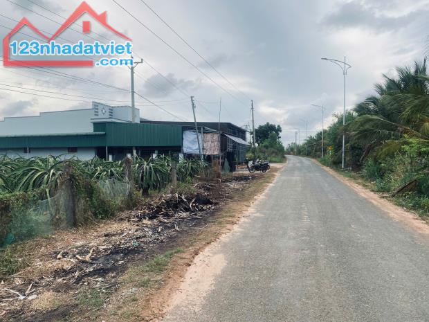 20x80 (1600m2) 100m2 Tc Đinh Công Tráng LaGi Giá Cực Rẻ - 2