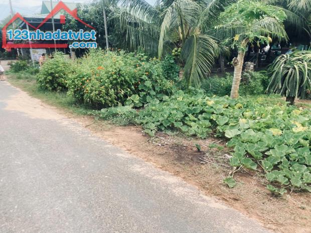 20x80 (1600m2) 100m2 Tc Đinh Công Tráng LaGi Giá Cực Rẻ - 3
