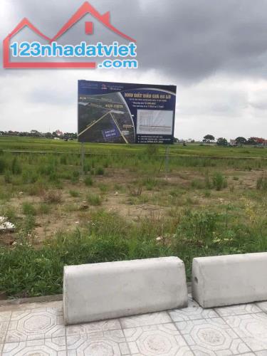 ❌❌❌ Cc gửi Bán lô D1 đấu giá Tân Trào - Kiến Thuỵ - Hải Phòng - 4