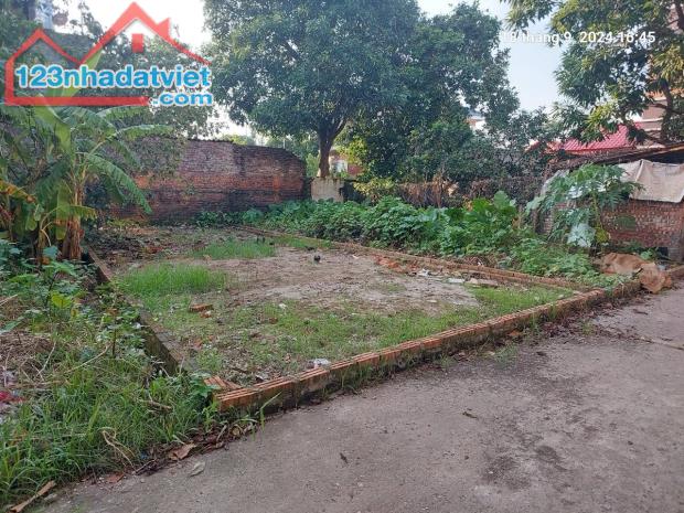 Chủ tìm khách, Tiên Hùng, 79.5m2, mt5m, nở hậu, 4.8 tỷ Đông Anh. Ô tô, gần phố. - 2