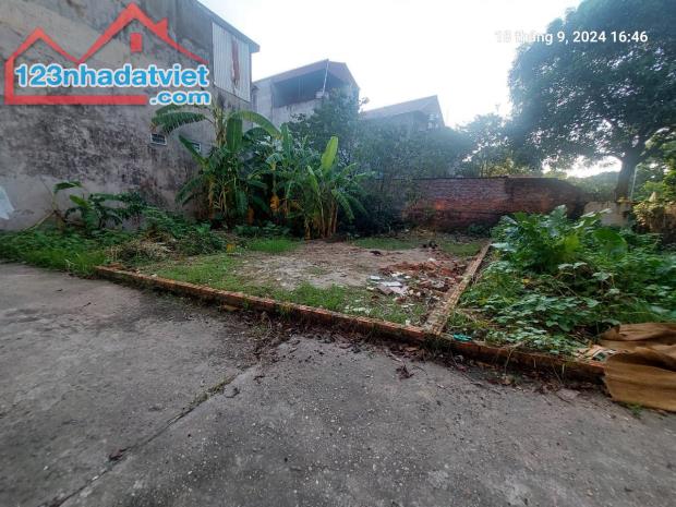 Chủ tìm khách, Tiên Hùng, 79.5m2, mt5m, nở hậu, 4.8 tỷ Đông Anh. Ô tô, gần phố. - 3
