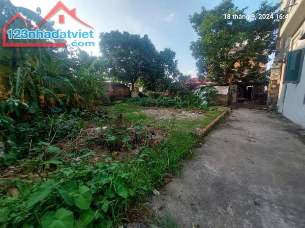 Chủ tìm khách, Tiên Hùng, 79.5m2, mt5m, nở hậu, 4.8 tỷ Đông Anh. Ô tô, gần phố. - 4