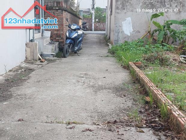 Chủ tìm khách, Tiên Hùng, 79.5m2, mt5m, nở hậu, 4.8 tỷ Đông Anh. Ô tô, gần phố. - 5