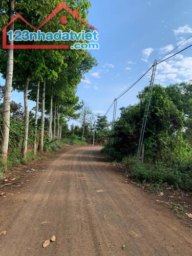 GIÁ RẺ CẦN BÁN GẤP. P, ĐOÀN KẾT, TX BUÔN HỒ, TỈNH ĐĂK LĂK - 1