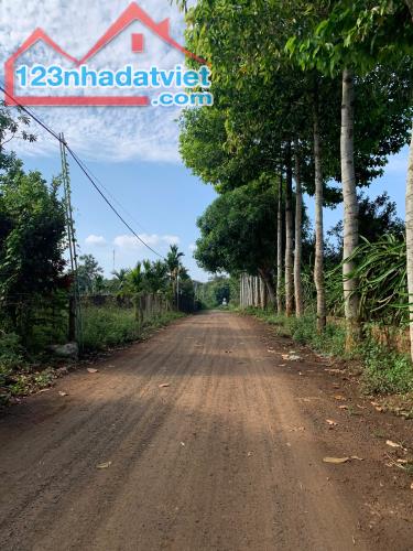 GIÁ RẺ CẦN BÁN GẤP. P, ĐOÀN KẾT, TX BUÔN HỒ, TỈNH ĐĂK LĂK - 2