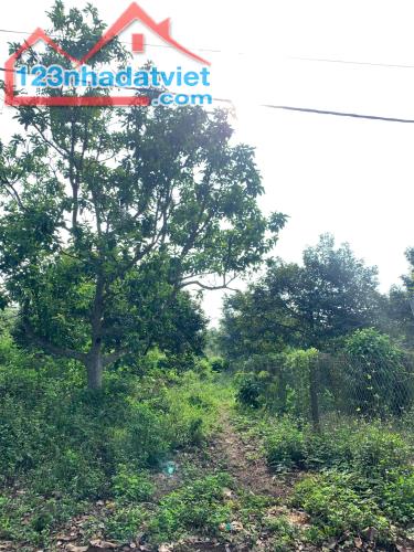 GIÁ RẺ CẦN BÁN GẤP. P, ĐOÀN KẾT, TX BUÔN HỒ, TỈNH ĐĂK LĂK - 3