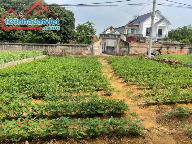 Chính Chủ Gửi Bán Lô Đất Đẹp Tại Yên Thái, Đông Yên, Quốc Oai – Hà Nội - 1