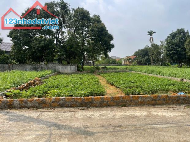 Chính Chủ Gửi Bán Lô Đất Đẹp Tại Yên Thái, Đông Yên, Quốc Oai – Hà Nội - 2