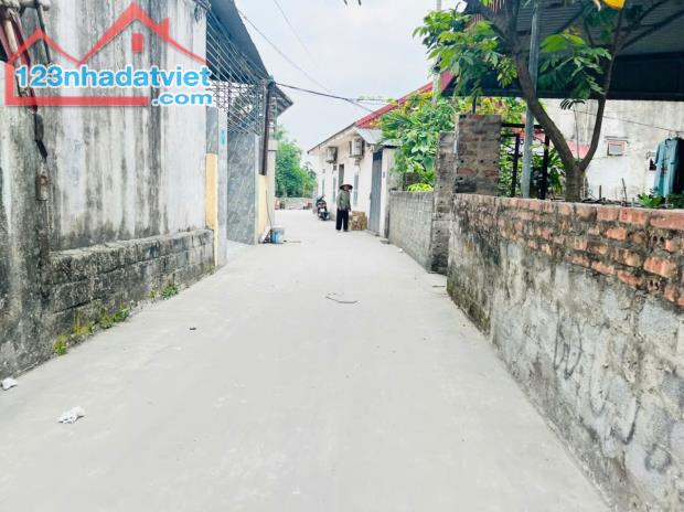 Hàng hiếm Quán Toan, Hồng Bàng 118m giá chỉ 1,6x tỷ  LH 0979087664 - 1