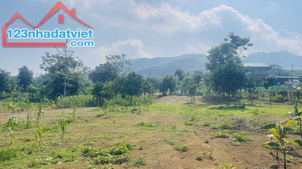 BÁN LÔ ĐẤT 11.272M² TẠI TRUNG TÂM THỊ TRẤN ĐÀ BẮC – CÁCH CAO TỐC HÒA BÌNH – MỘC CHÂU CHỈ 2 - 2