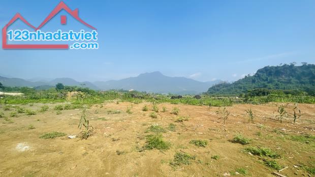 BÁN LÔ ĐẤT 11.272M² TẠI TRUNG TÂM THỊ TRẤN ĐÀ BẮC – CÁCH CAO TỐC HÒA BÌNH – MỘC CHÂU CHỈ 2 - 4