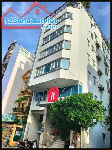 Top tòa nhà vị trí đẹp 8.2 x 18m Nguyễn Văn Thủ Q1 TP. HCM