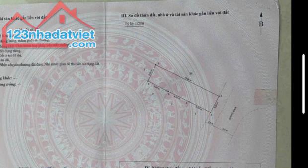 98m2 tại đấu giá Kiến Thiết, Sở Dầu, Hồng Bàng gần công viên Hoàng Gia giá chỉ 4,x tỷ  Vị - 2