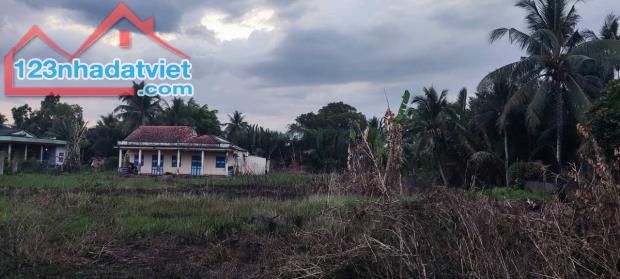 BÁN ĐẤT ẤP 3 NHỊ THÀNH THỦ THỪA LONG AN -HƠN 3.300M2 CÓ 1400M2 THỔ CƯ - GẦN 7 TỶ