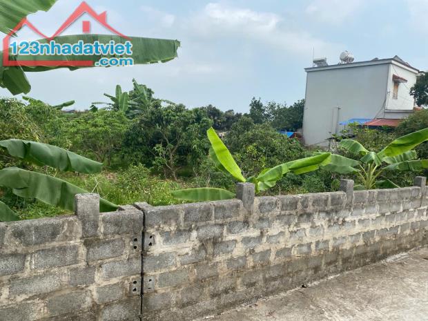 Bán đất Vườn xã Thanh Hồng, 236m x 10m – Trung tâm phát triển – 4.7 tỷ