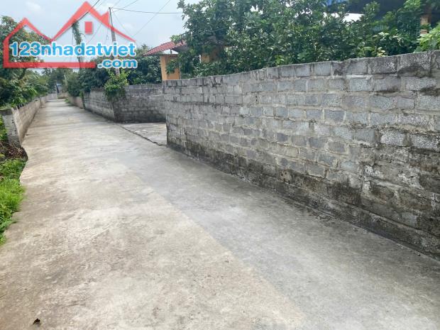 Bán đất Vườn xã Thanh Hồng, 236m x 10m – Trung tâm phát triển – 4.7 tỷ - 2