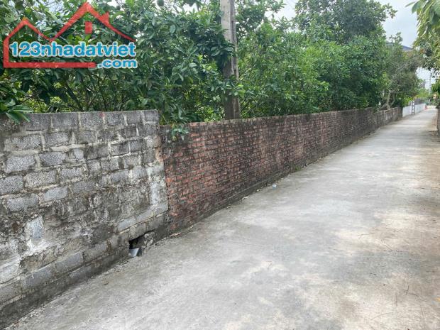 Bán đất Vườn xã Thanh Hồng, 236m x 10m – Trung tâm phát triển – 4.7 tỷ - 3