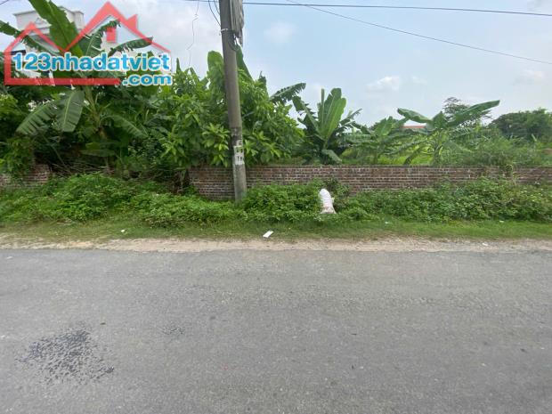 Bán đất Vườn xã Thanh Hồng, 236m x 10m – Trung tâm phát triển – 4.7 tỷ - 4
