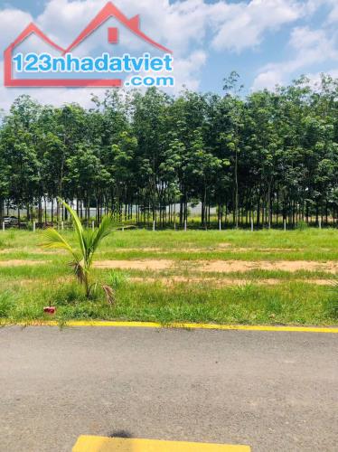 CẦN SANG TAY GẤP LÔ ĐÁT NỀN SIÊU ĐẸP GIA HƠN 1TY XÍU - 1