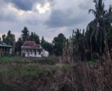 BÁN ĐẤT ẤP 3 NHỊ THÀNH THỦ THỪA LONG AN -HƠN 3.300M2 CÓ 1400M2 THỔ CƯ - GẦN 7 TỶ