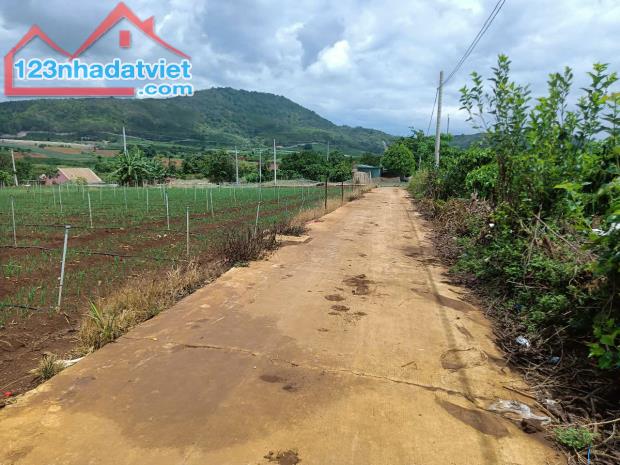 Đât nền gần sân bay Liên Khương ,gần cao tốc Đức Trọng ,Lâm Đồng - 1