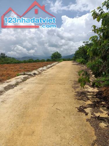 Đât nền gần sân bay Liên Khương ,gần cao tốc Đức Trọng ,Lâm Đồng - 2