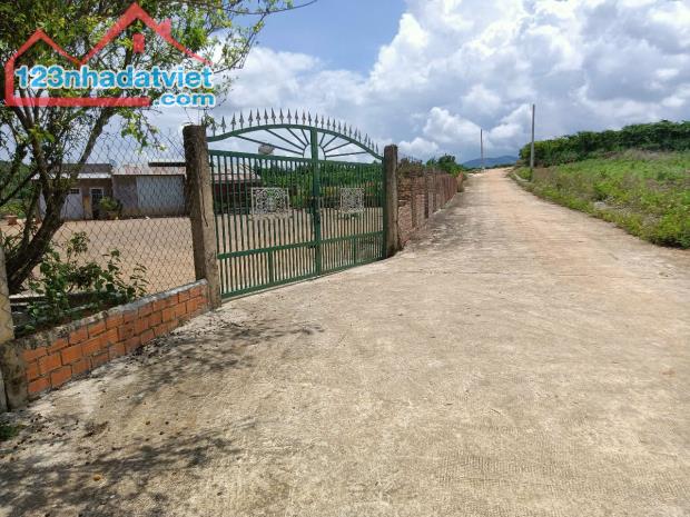 Đât nền gần sân bay Liên Khương ,gần cao tốc Đức Trọng ,Lâm Đồng - 3