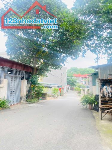 Bán 225m2 đất Mậu Lâm, Khai Quang, Vĩnh Yên, giá: 4,3x tỷ - 1
