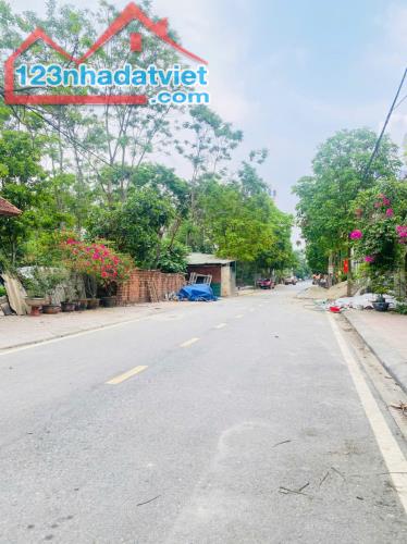 Bán đất Đồng Nưa, Định Trung, Vĩnh Yên, Vĩnh Phúc. - 2