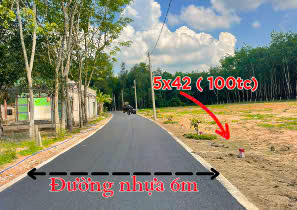 Đất sổ sẵn đường nhựa Long Tân - Dầu Tiếng - 1