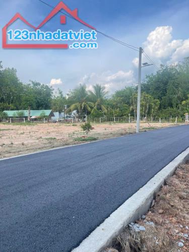 Đất sổ sẵn đường nhựa Long Tân - Dầu Tiếng - 3