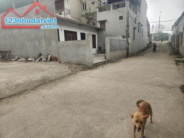 #SIÊU_PHẨM_NGUYỄN_KHÊ_80m mặt tiền 5.5m đường trước nhà 2 oto tải tránh nhau đi bộ 10m ra - 1
