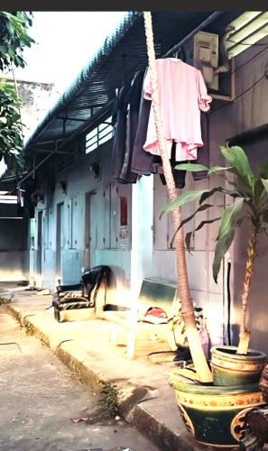 Cần Bán Gấp Dãy Trọ Tại Thủ Đức-Khu VIP Tiện Ích, Giá Tốt, Nhỉnh 5 Tỷ(TL)