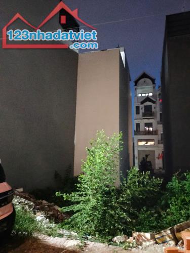 Sót lại lô đất lọt khe đường số 2 BHH gần chợ Phạm Đăng Giảng 60m2,Nhỉnh 4 tỷ - 1