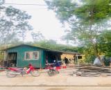 Bán đất Đồng Nưa, Định Trung, Vĩnh Yên, Vĩnh Phúc.