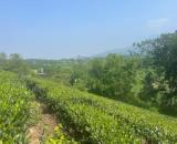 Bán 1440m2 đất tại thôn 2, Ba Trại, Ba Vì, Hà Nội.  Giáp dự án FLC View hồ