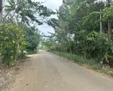 Đại hạ giá lô đất giá rẻ chưa từng có tại Định Quán