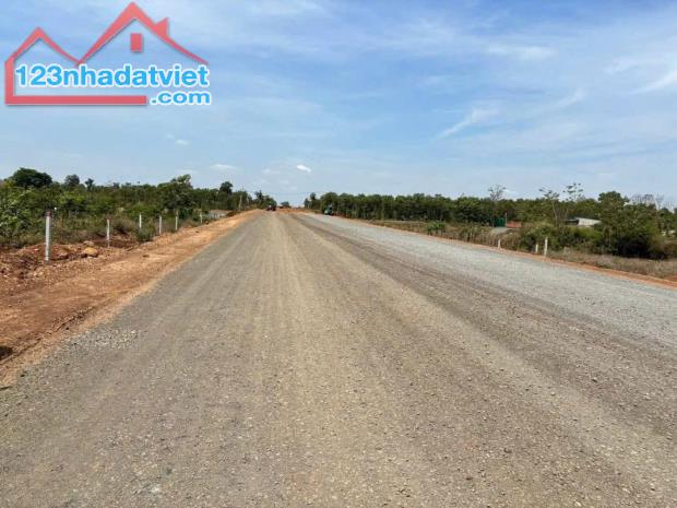 Đất mặt tiền đường Hồ Chí Minh hay còn gọi là ( đường tránh đông ) giá siêu rẻ - 1