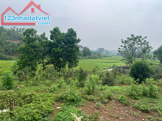 Hàng F0,676m2/ 2 sổ, đất tại Tu Vũ,Thanh Thuỷ,Phú Thọ,cách cầu Đồng Quang 8km,Mỹ Đình 70km - 3