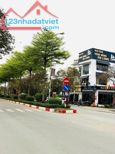 Cho thuê nhà hàng hiếm có khó tìm mặt phố Nguyênc Văn Lộc Mỗ Lao Hà Đông Hà Nội - 4